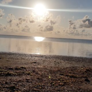 Calm beach in Malindi