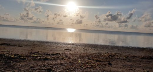 Calm beach in Malindi