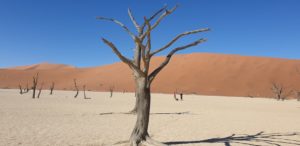 deadvlei namibia