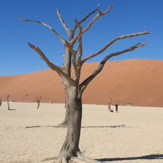 deadvlei namibia