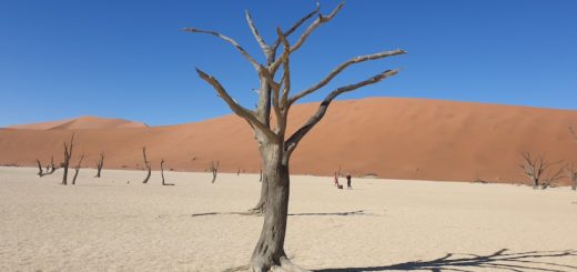 deadvlei namibia