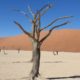 deadvlei namibia